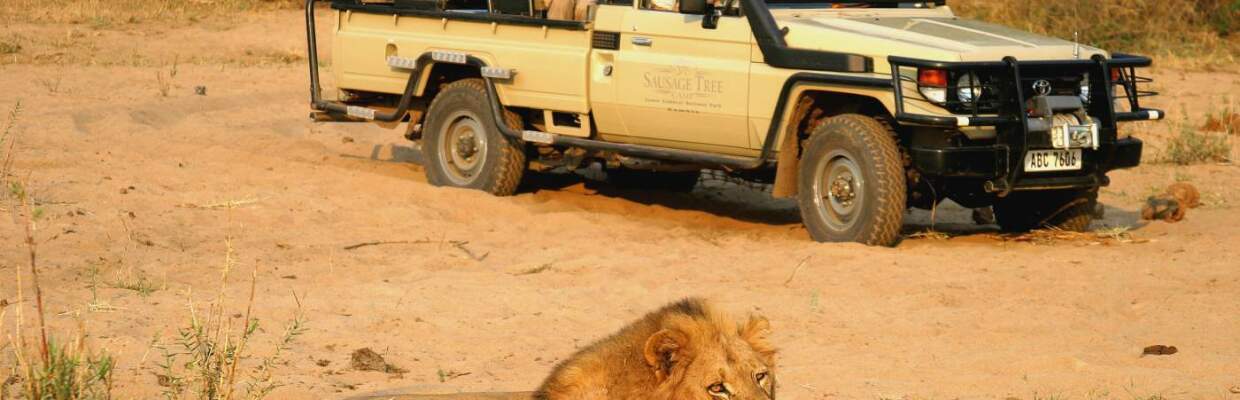 Offroad-Reisen Malawi, Nyika Nationalpark