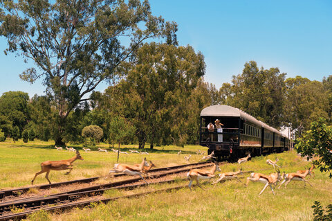 Dos viajes en tren, de tres a cuatro días, hasta 40 invitados