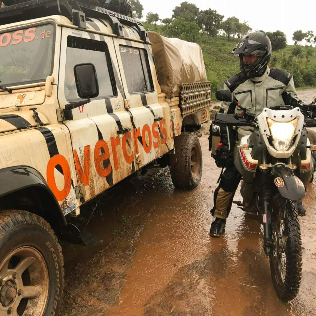 Motorradreisen Afrika Republik Kongo Gorillas Tierart