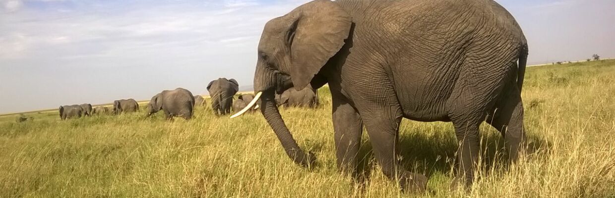 Erlebnis-Reisen Tansania, Ngorongoro Krater
