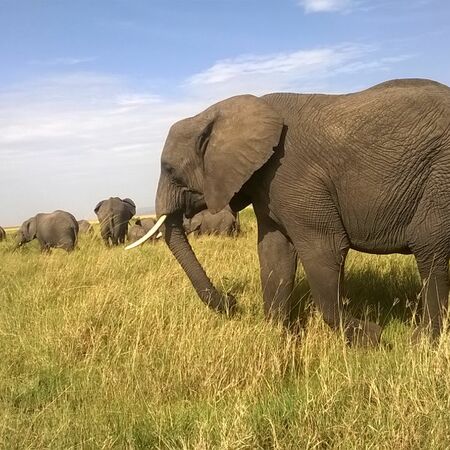 In 9 days through the north of Tanzania