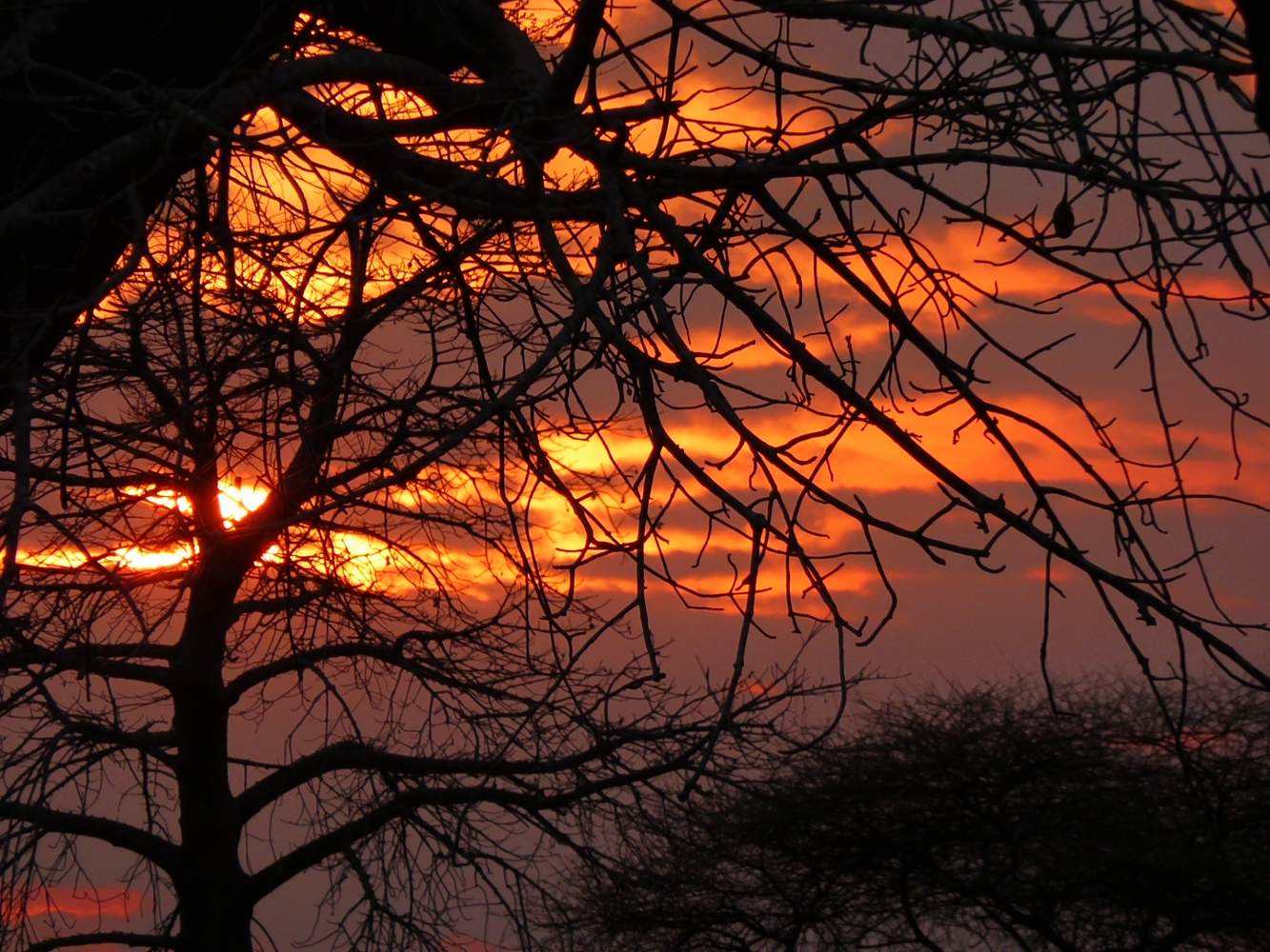 Tansania Selbstfahrer Land Rover Defender Safari Reise Abenteuer mit wunderschönem Sonnenuntegang