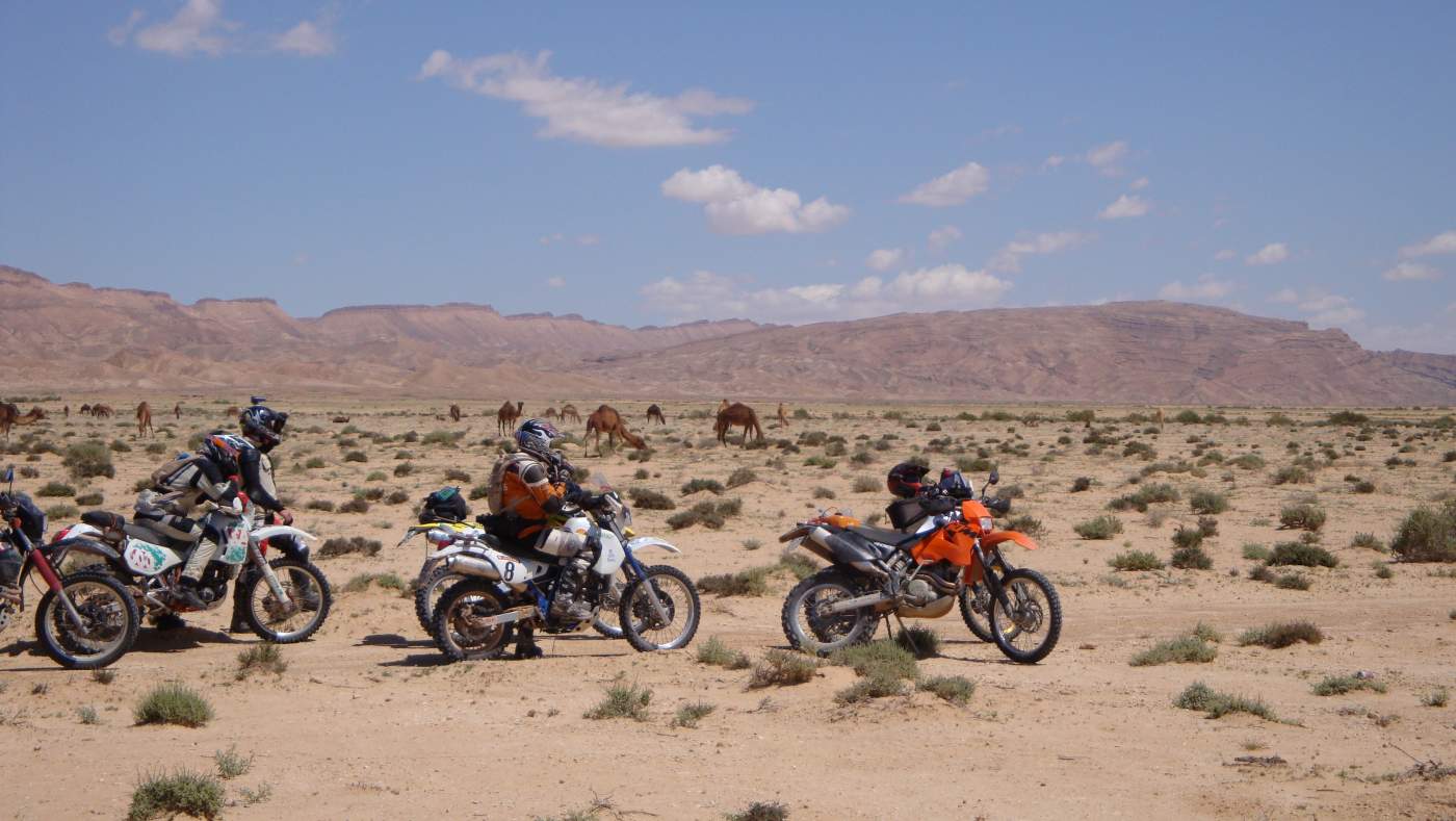 Auf der Tunesien auf die harte Tour: Sahara Abenteuer für Enduristen der Einzylinder Klasse kommen wir den Kamelen nahe