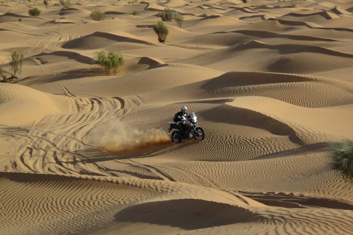 Mit der Yamaha Tenere über über die Dünen und durch den Sand