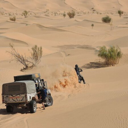 Dünenmeer der Sahara