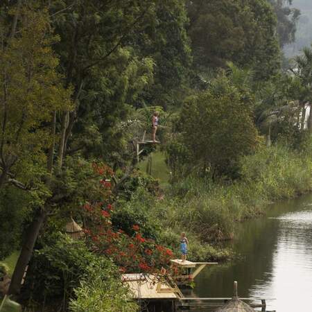 Zu den Gorillas im Urwald von Uganda