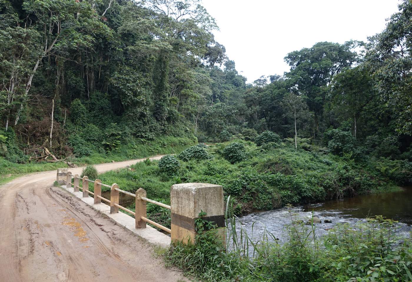 Bwindi Nationalpark Kleingruppenreise Uganda Overcross