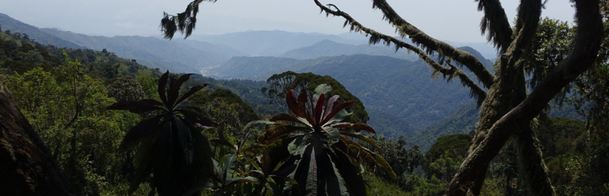 Erlebnis-Reisen Uganda, Ruwenzori-Berg, Uganda