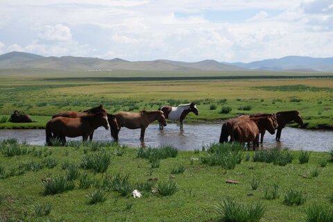Mongolei Motorradreisen: Enduro durch Gobi und Steppe