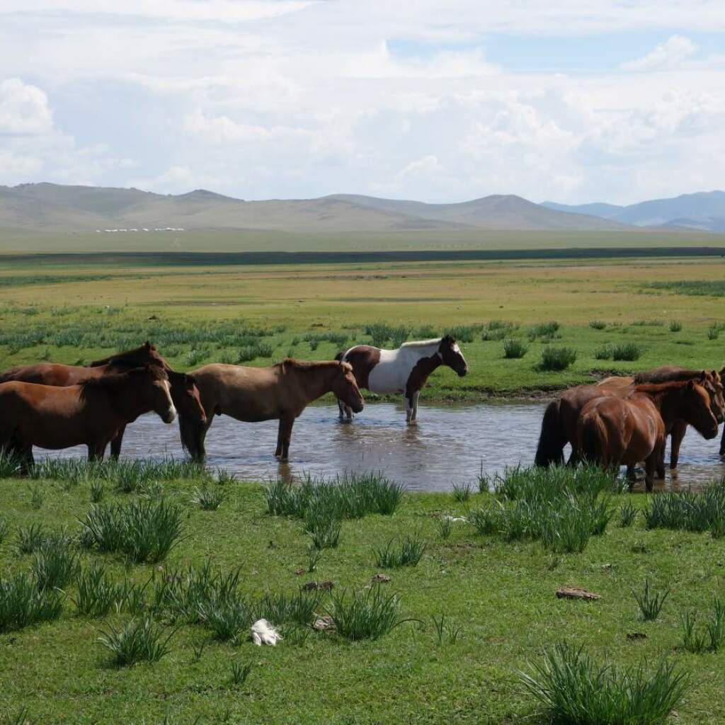 Motorradreisen Mongolei Endurotour Erdmutterstein Eej