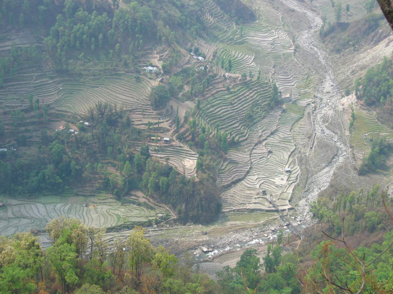 Blick auf Reisterrassen in Sikkim auf der Motorradreise