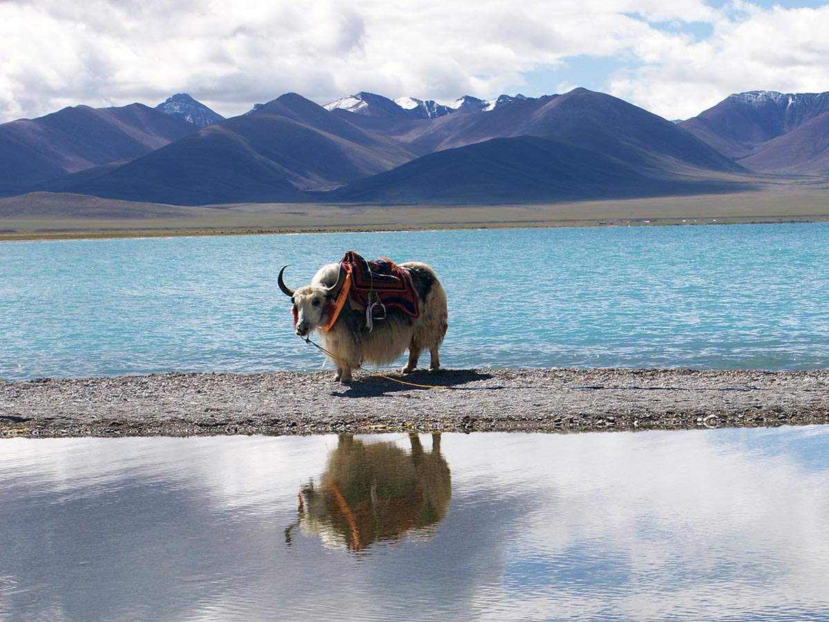 Tibet Himalaia planalto alto