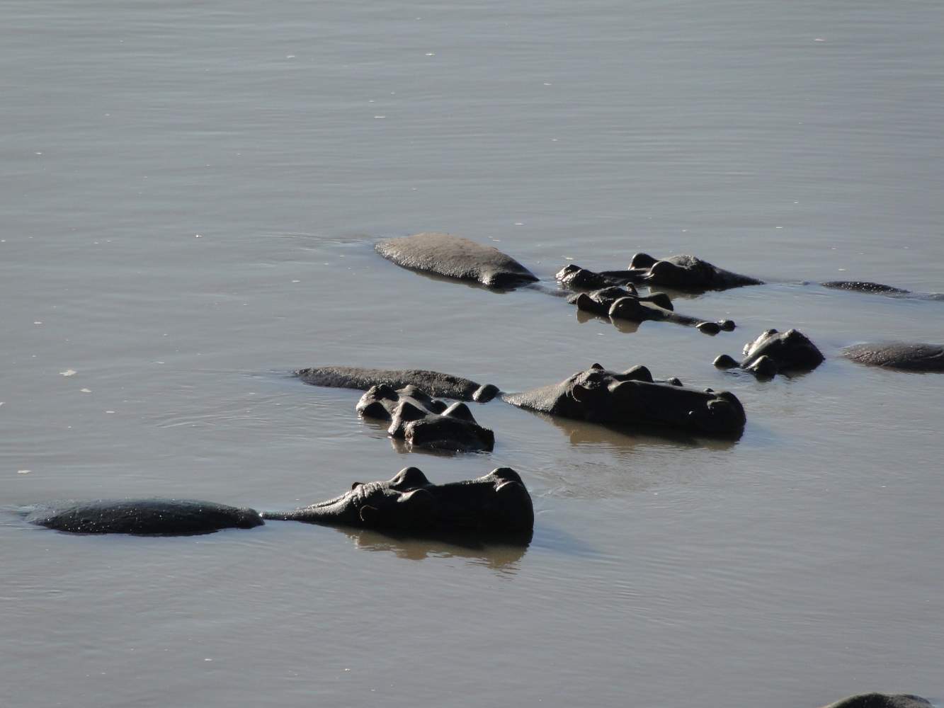 Luangwa Nationalpark