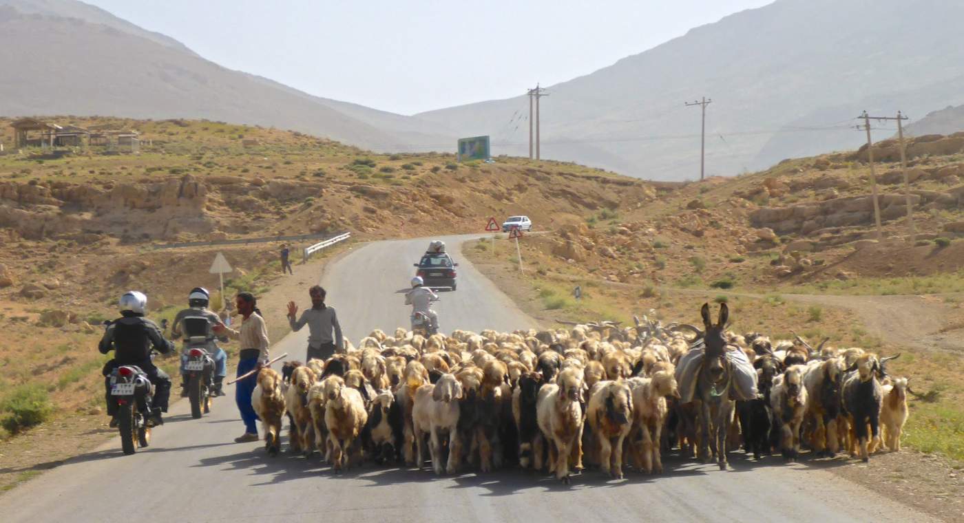 Schafherden auf der Straße im Landesinneren des Iran