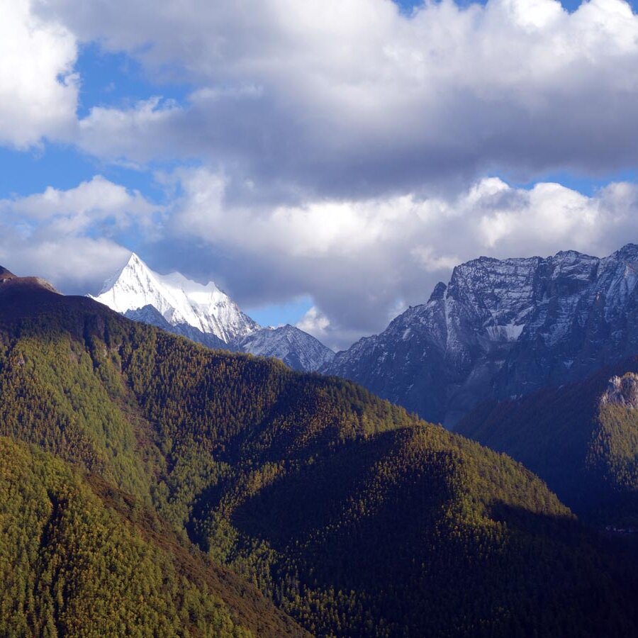 Ein bewaldeter Bergkamm mit einem schneebedeckten Gipfel in der Ferne