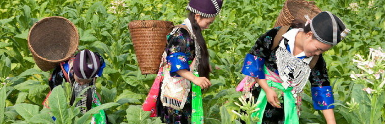 Erlebnis-Reisen Asien, Mekong-Fluss, Laos