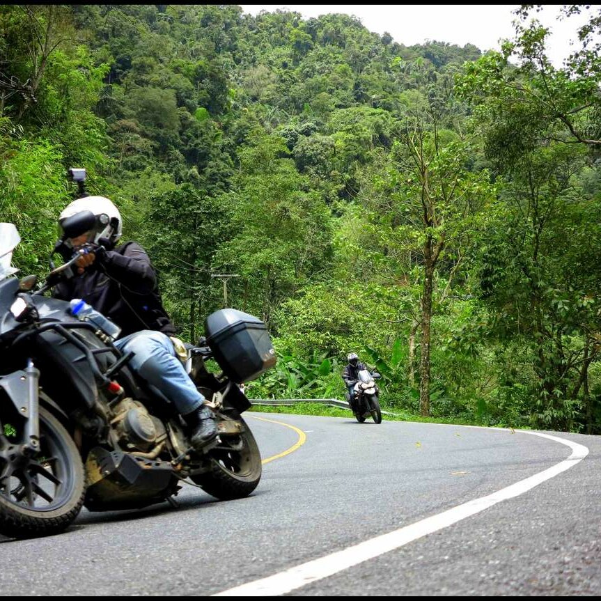 Ein Adventure-Motorrad mit Seitenkoffern fährt eine Waldstraße entlang, ein zweiter Fahrer folgt