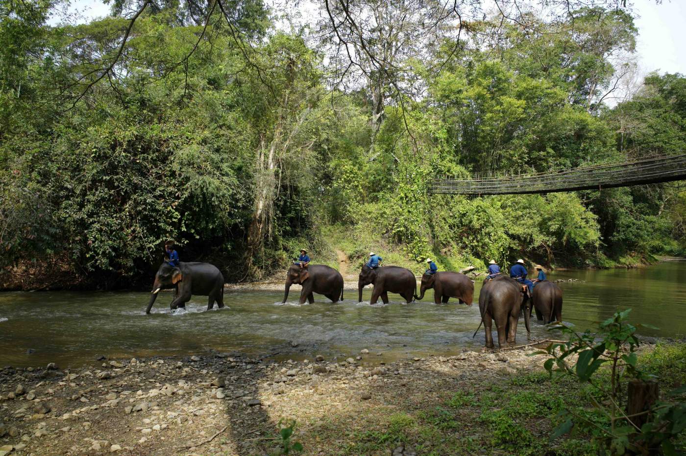 Elefanten-Trainingscamp bei Chiang Dao