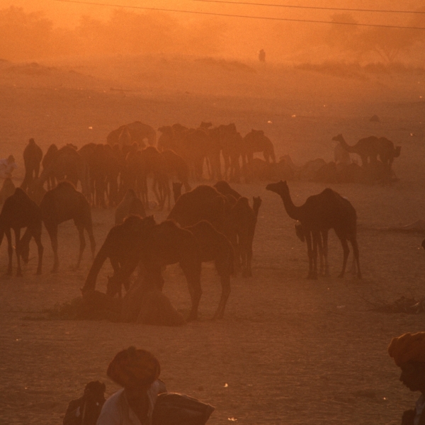 Motorradreisen Indien Jawae Jodhpur Tempel