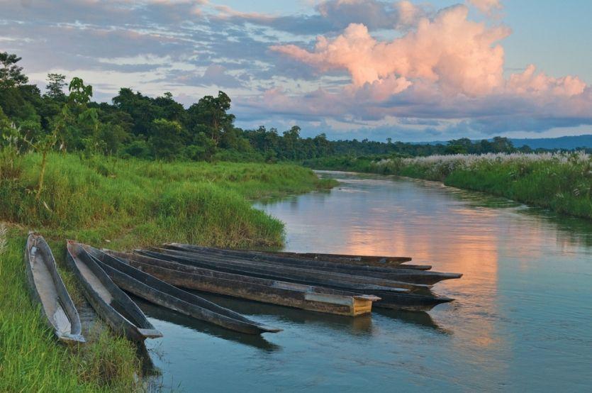 Canoas de madera amarradas en un río tranquilo de orillas verdes y frondosas al anochecer