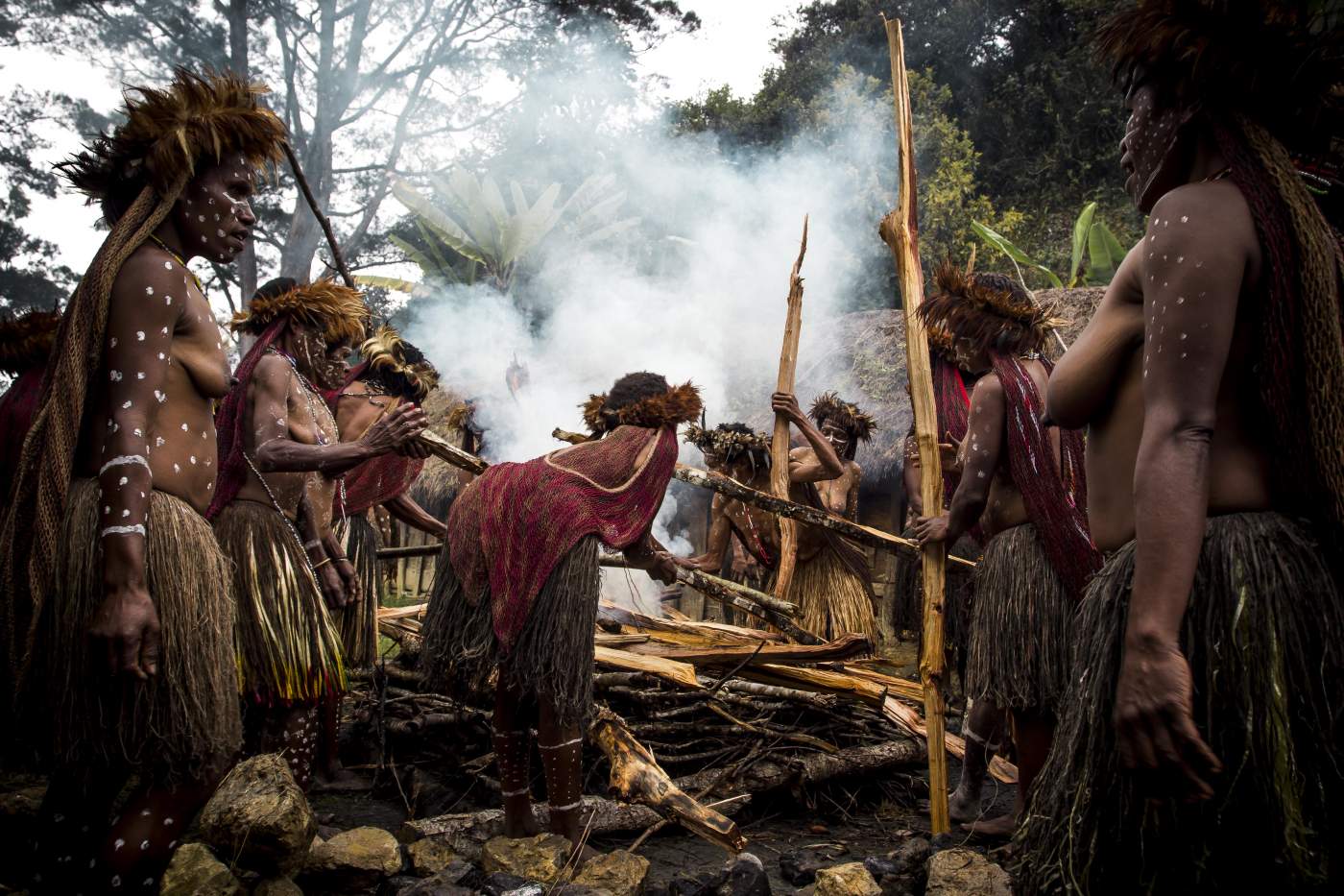 "Pig-Festival" - Baliem Valley