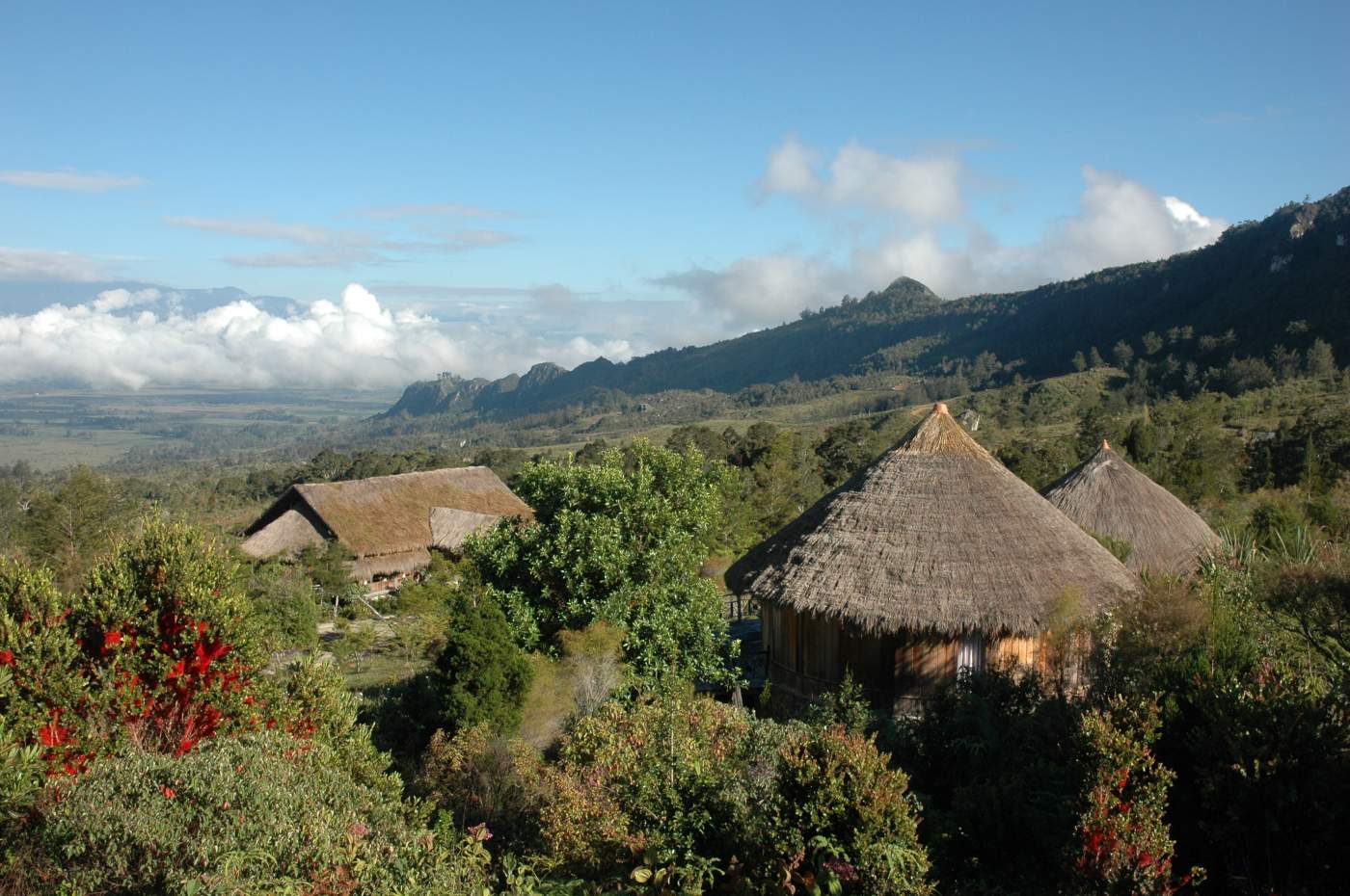 Das Baliem Valley Resort ist die erste Station Ihrer West-Papua-Reise Das Baliem Valley Resort ist die erste Station Ihrer West-Papua-Reise