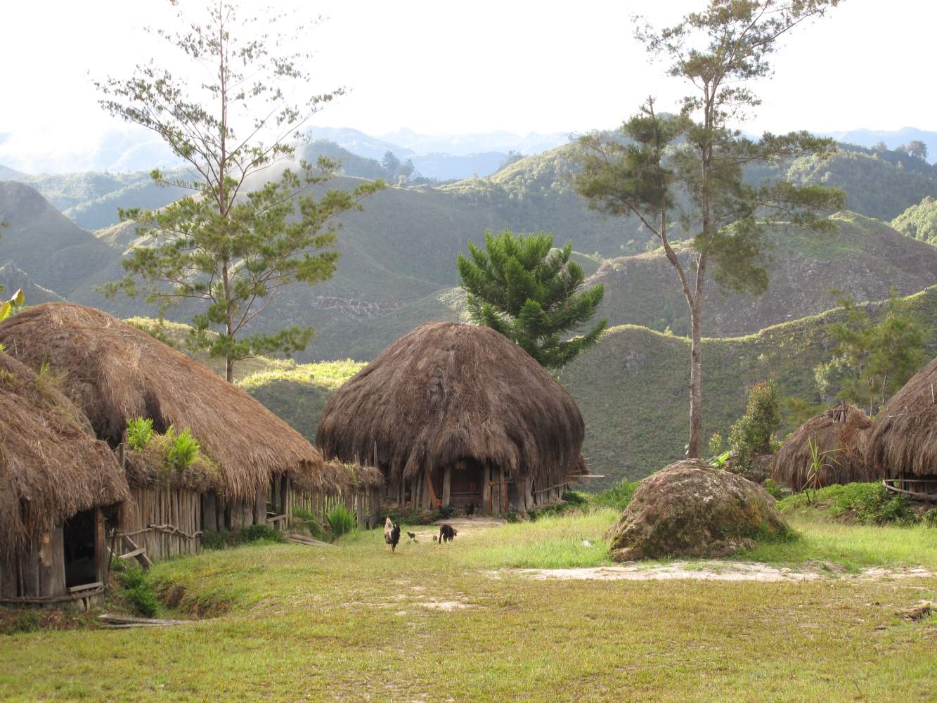 Traditioneller Dani Weiler nahe des Baliem Valley Resorts traditioneller Dani Weiler nahe des Baliem Valley Resorts