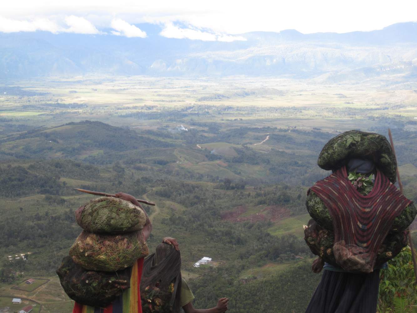 Blick über das Baliem Tal