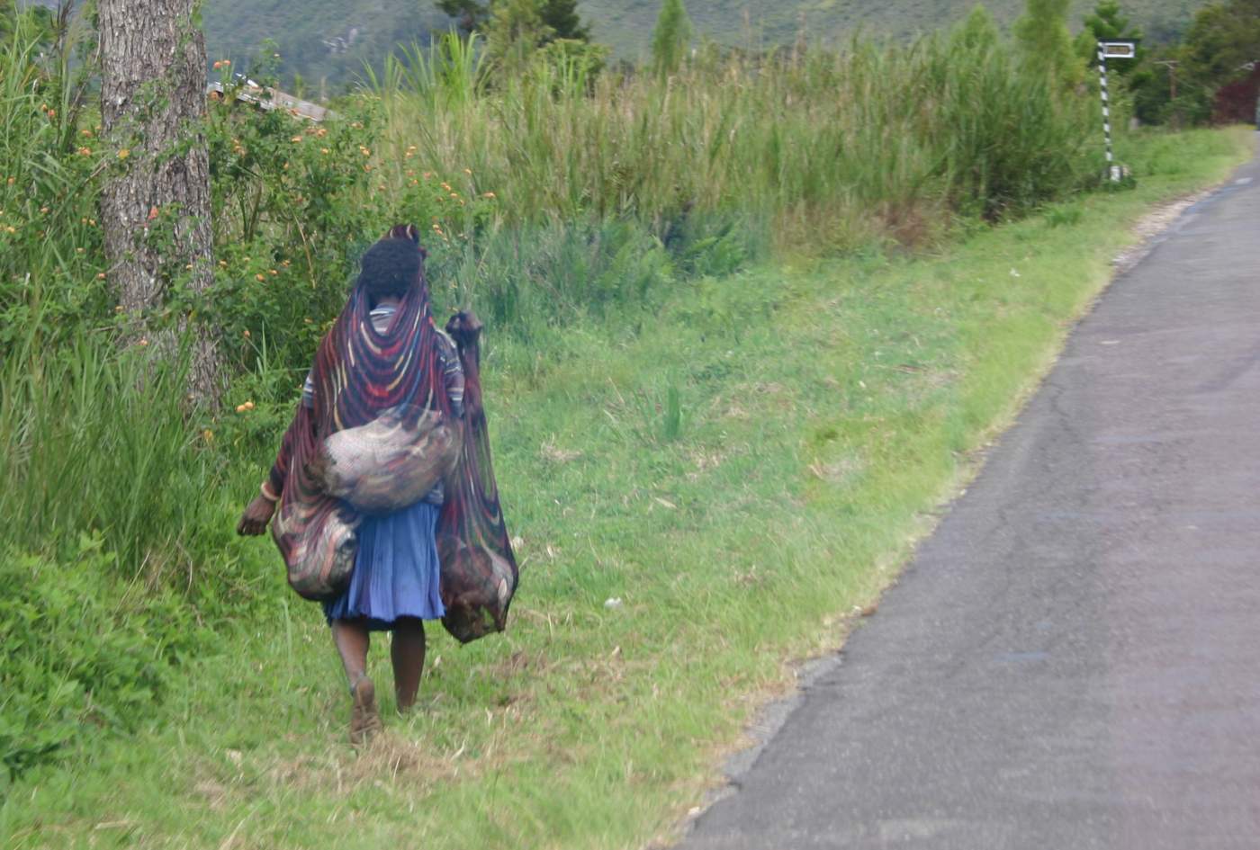 Dani-Frau mit Tragenetz, Wamena Die Dani-Frauen transportieren alles in ihren Tragenetzen, Wamena