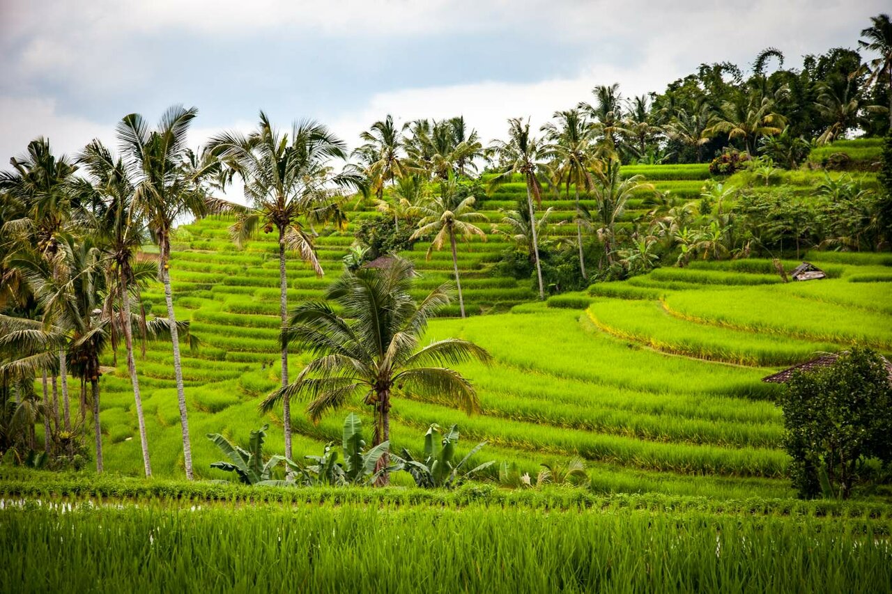 Motorreis Indonesië: Bali, Lombok & Sumbawa