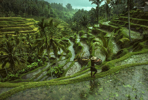 Motorradreisen in Indonesien: Enduro, Vulkane und Inselstraßen