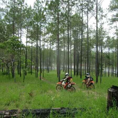 Cambodia
