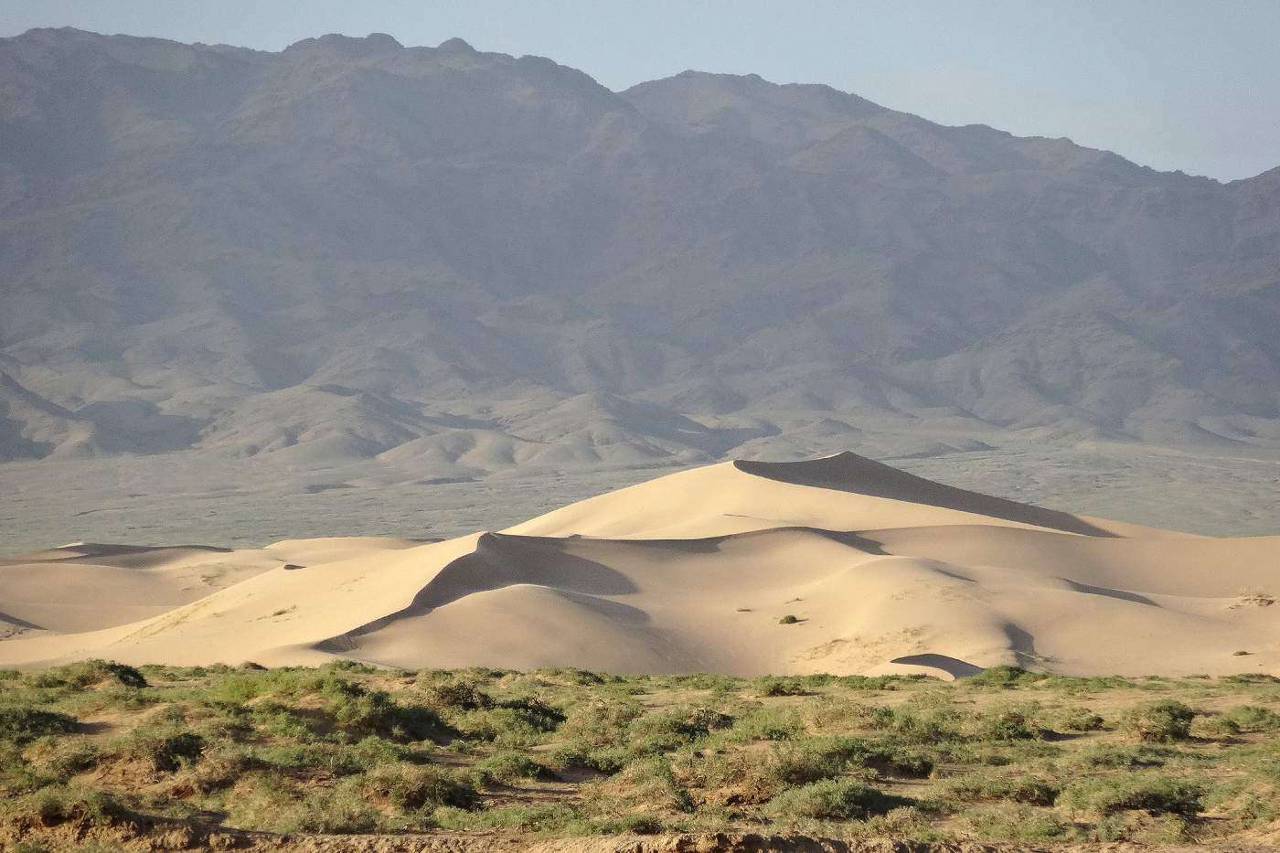 Wüste Gobi Tour Mongolei