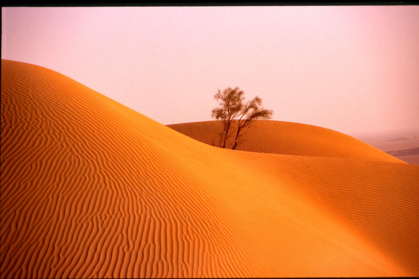 Oman Reisen Landesinformation Motorrad