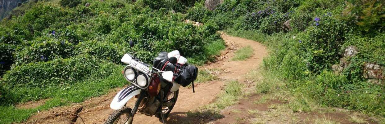 Motorradreisen Sri Lanka, Teeplantagen, Sri Lanka