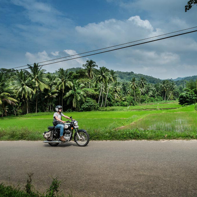 Ein Motorradfahrer fährt auf einer asphaltierten Straße an Reisfeldern und Palmen vorbei in Sri Lanka
