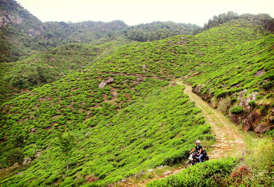 Motorreis Sri Lanka: hoogtepunten op twee wielen