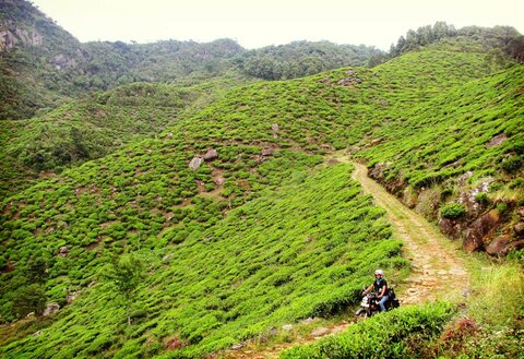 Viajes en moto Sri Lanka: vive la cultura, la naturaleza y el enduro