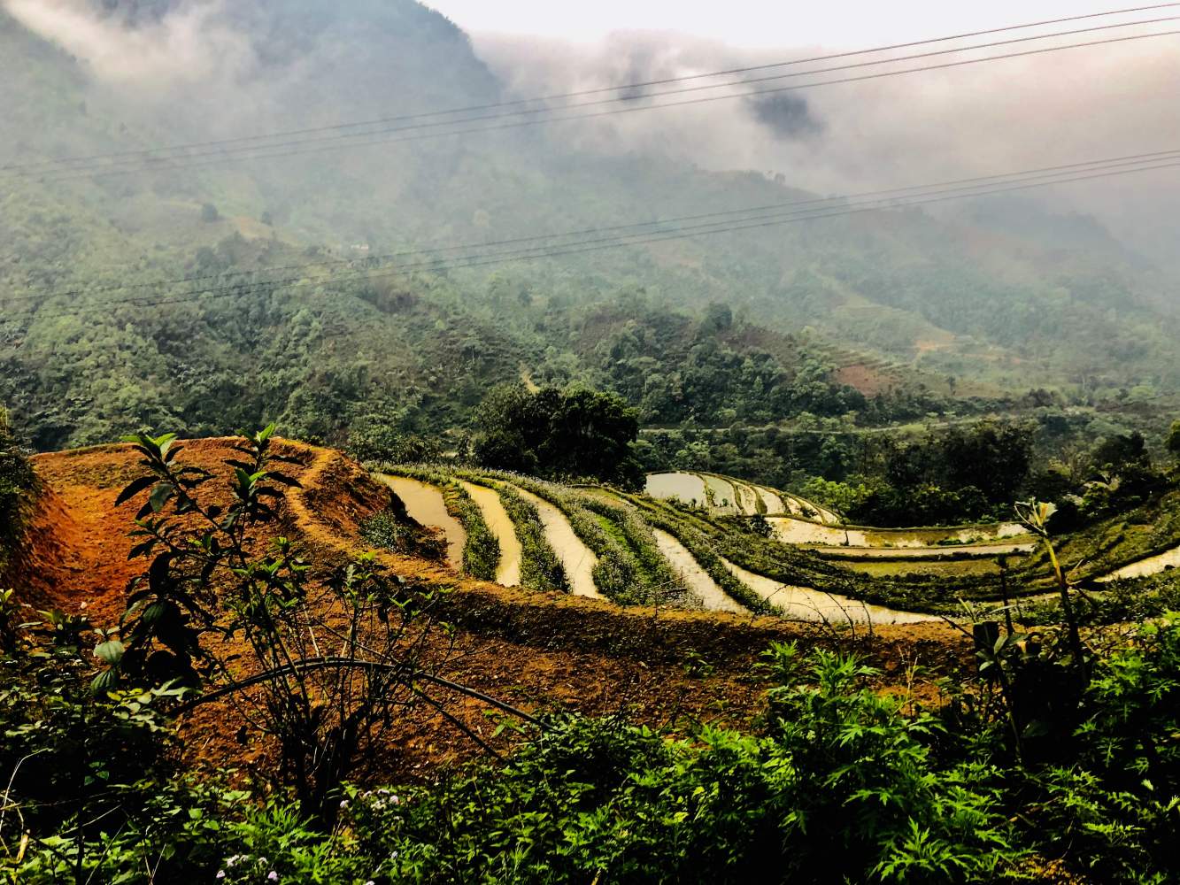 Reisterassen in Vietnam