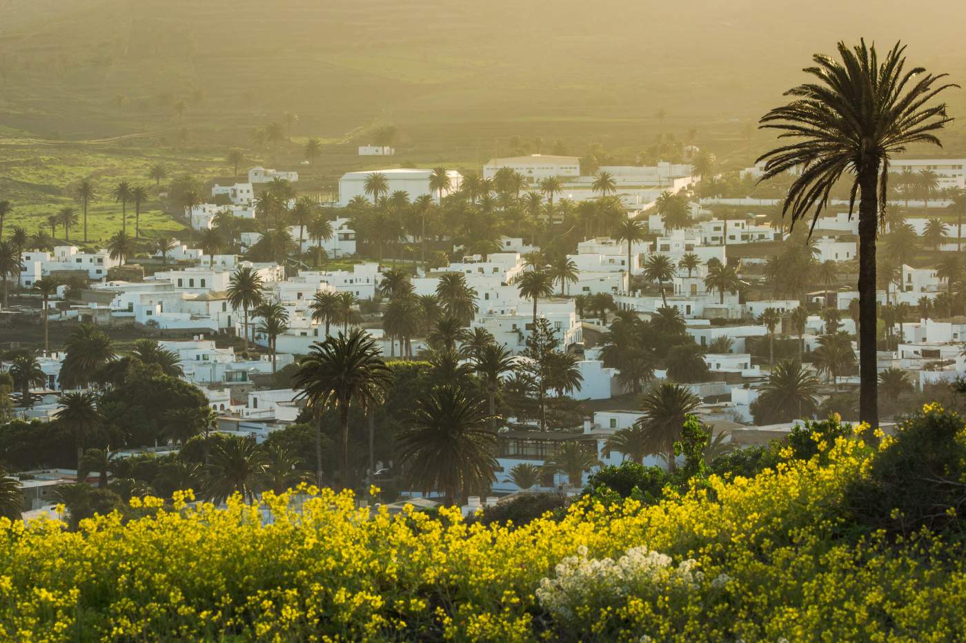 Haria, ein kleines Dorf und Wein-Stopp auf der Nordroute unsereren Motorradtouren durch Lanzarote