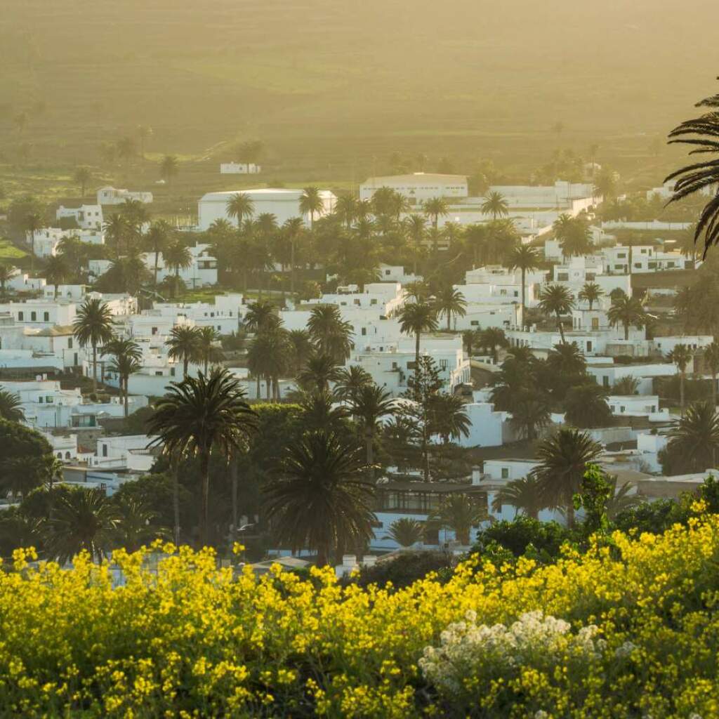 Motorradreisen Spanien La Gomera Motorradreisende Delfinarten