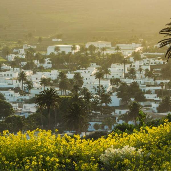 Motorradreisen Spanien La Gomera Motorradreisende Delfinarten