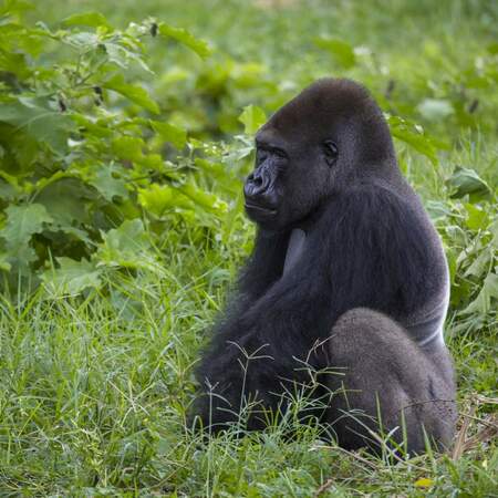 Experience travel to Kenya: Safari adventures and nature pure
