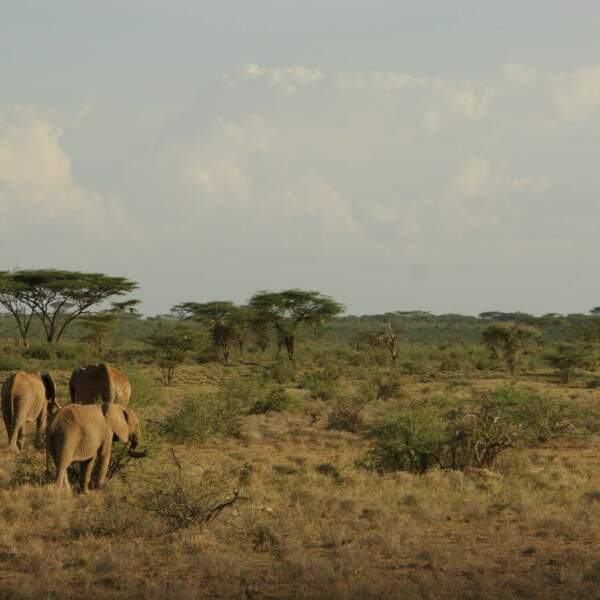 Erlebnis-Reisen Kenia, Sansibar, Stone Town