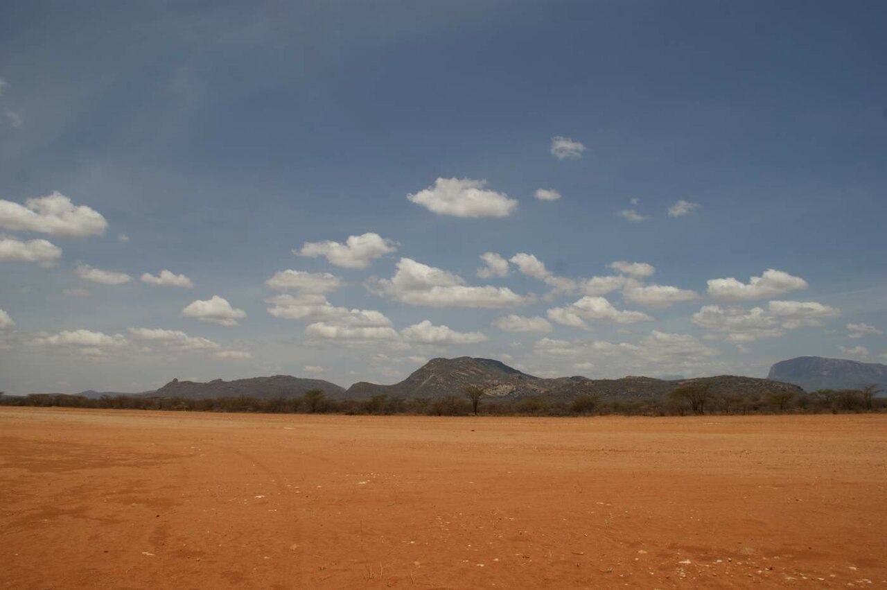 Trockenes Savannengras erstreckt sich unter bewölktem Himmel bis zu fernen Hügeln