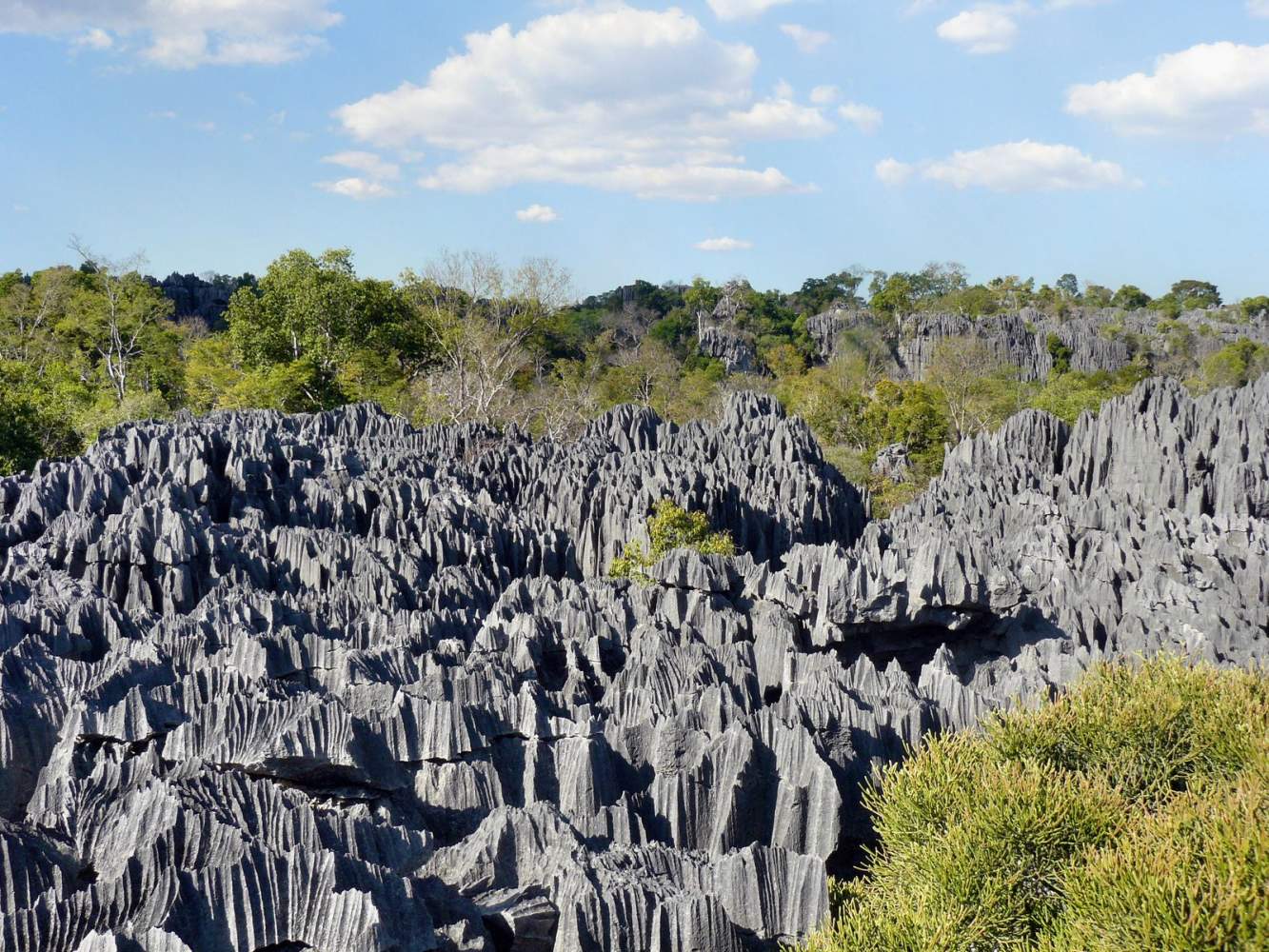 Felsformationen im Tsingy de Bemaraha Nationalpark
Felsformationen im Tsingy de Bemaraha Nationalpark