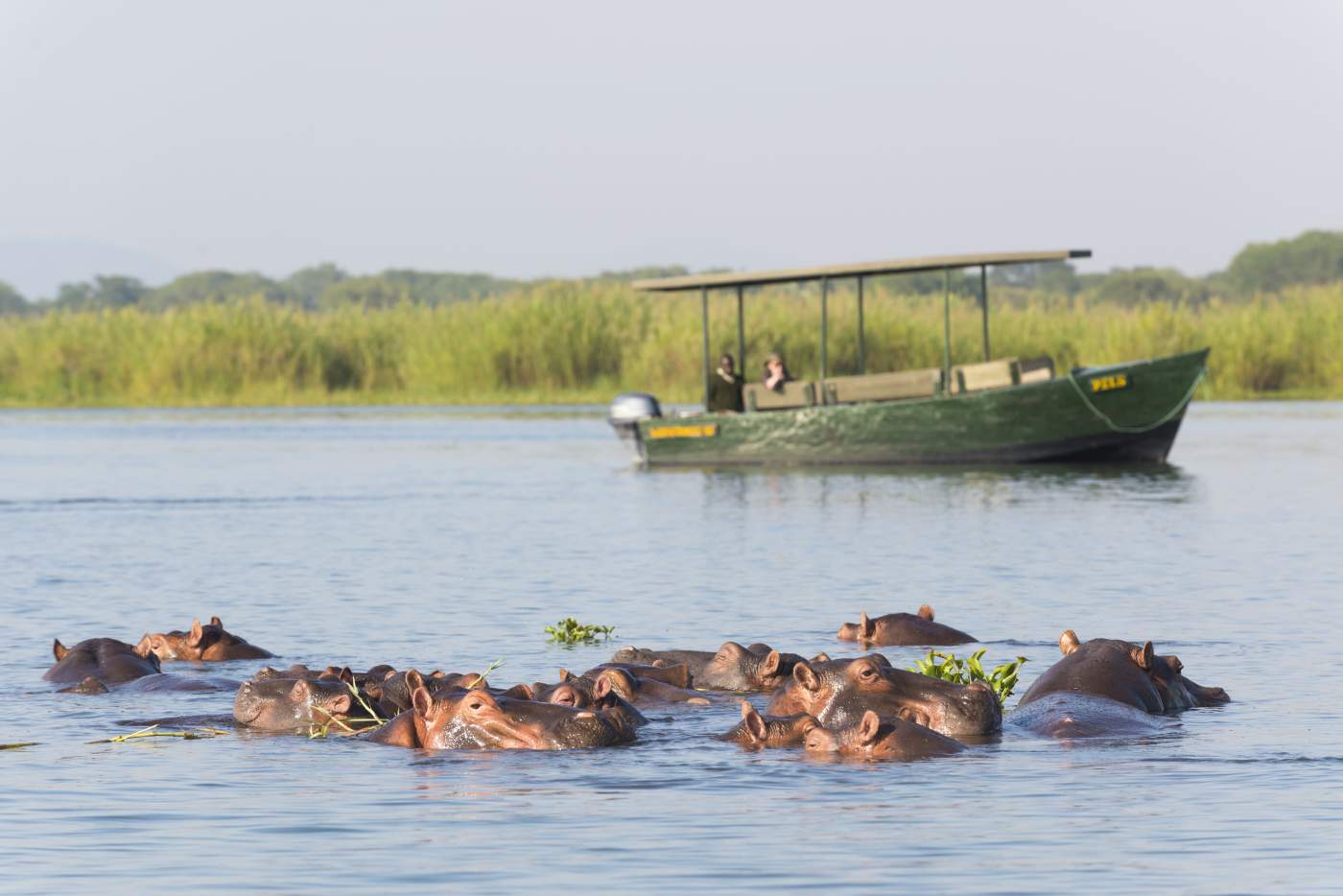 Boots Tour im Liwonde National Park von Malawi