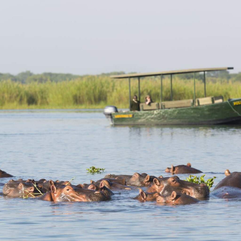 Mikumi Nationalpark