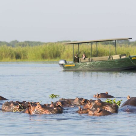 Lac Malawi, la pause entre deux safaris