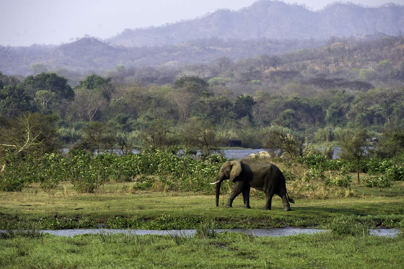 Majete Wildlife Reserve in Malawi